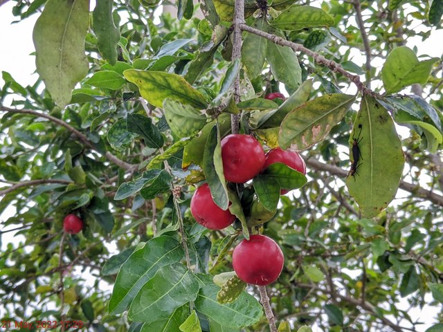 [Image: PXL-20220521-212916350.jpg]