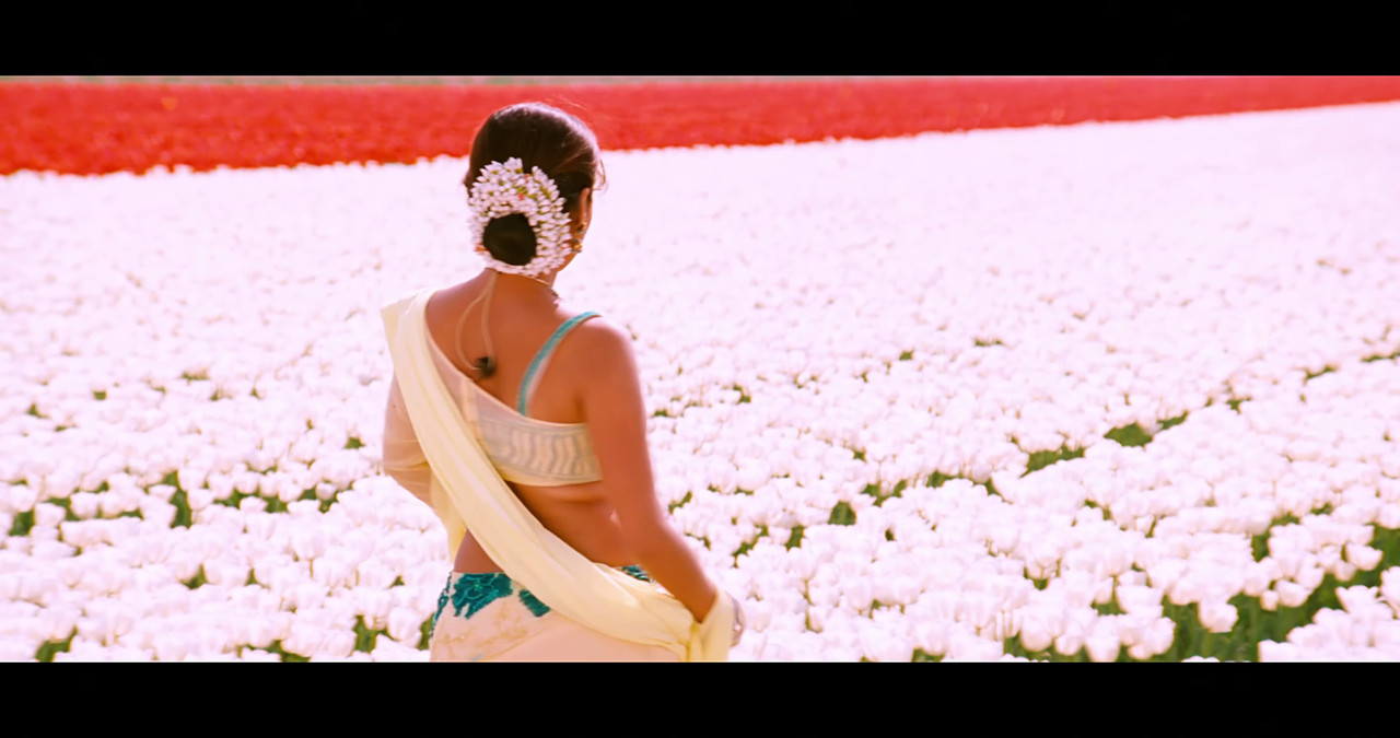 VideoCapture_20241122-195932