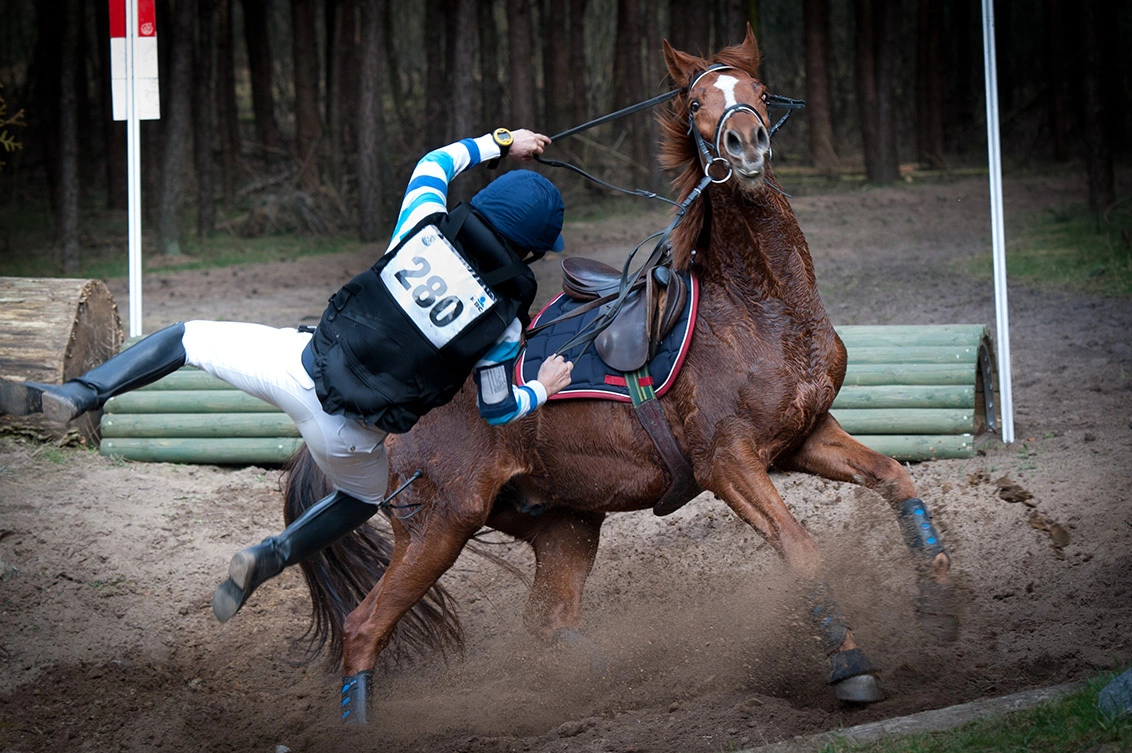 FD5-DE81-B1-A82-F789-B6-A1-F1-DD530-F872-D-over-het-paard-getild.webp