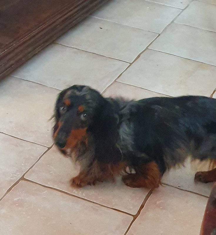 [Image: 20230309-141818.jpg]