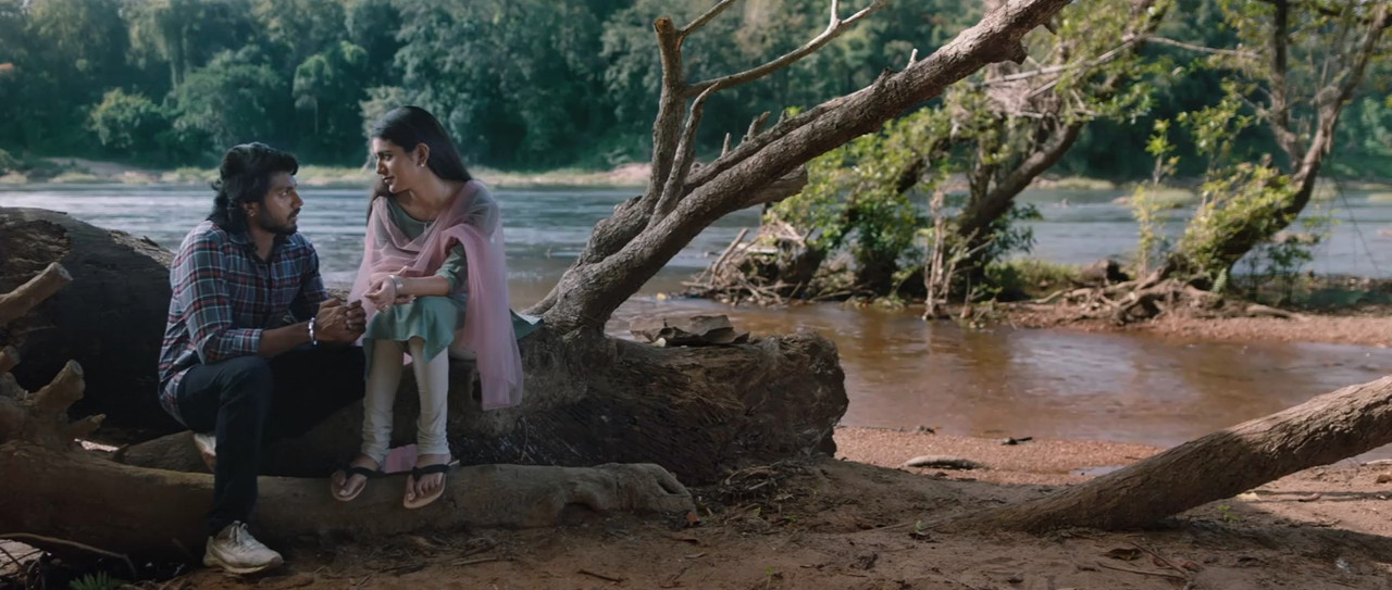 Vishnu Priya 2023 WebRip [Kannada] 480p, 720p ESub Screenshot