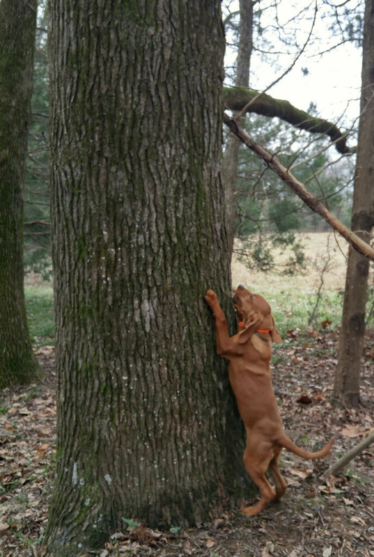 64D3680A-6309-4C67-A123-C8E05FC4C472