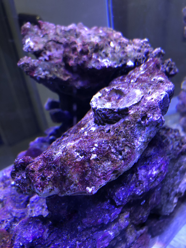 78518CA0-E38C-4750-846B-6A9B26776FE9