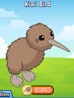 webkinz kiwi bird