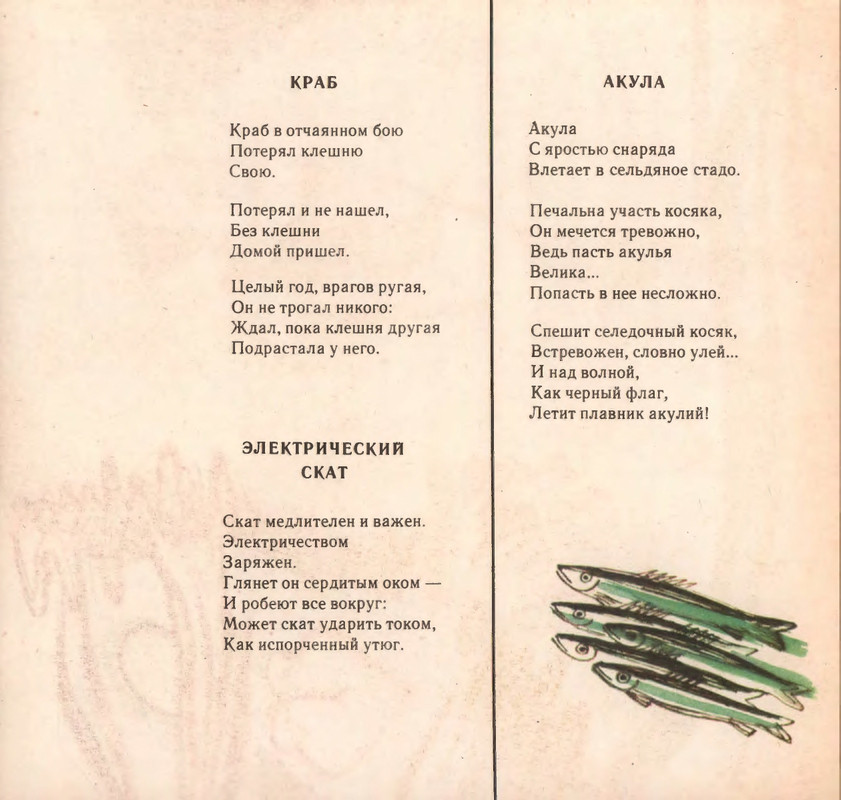 1972-page-0021