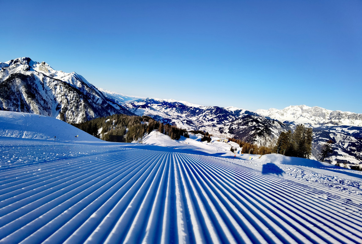 IMG_20220214_085201_edit_56658906324165