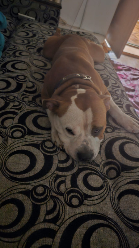 WhatsApp Image 2024-01-20 at 19.47.55 (1)