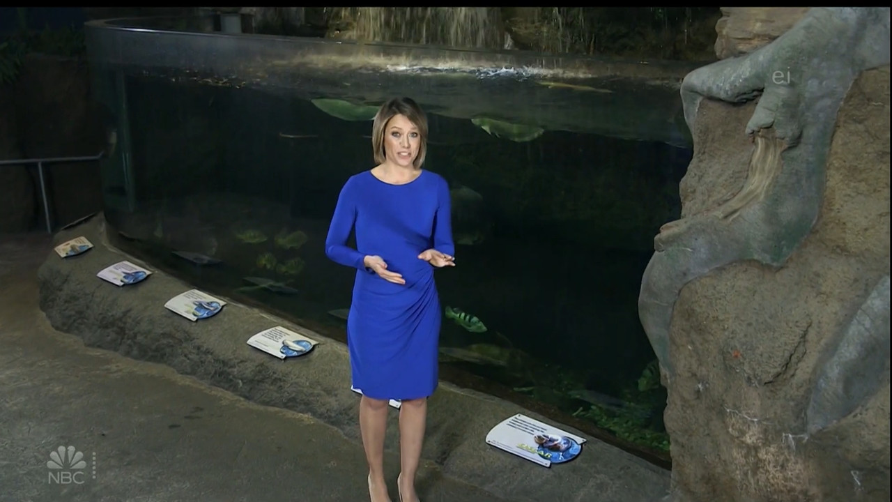 11.07 - 15.00.00 - Earth Odyssey With Dylan Dreyer. The world's smart....ts_snapshot_00.14.45.771