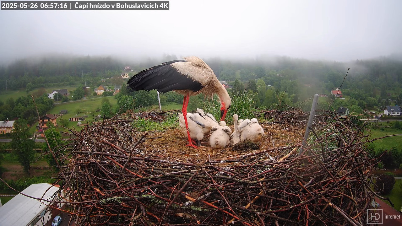 Tiešraide no KARA uzņēmuma stārķu skursteņa Bohuslavicē netālu no Trutnovas 6-46-32 screenshot