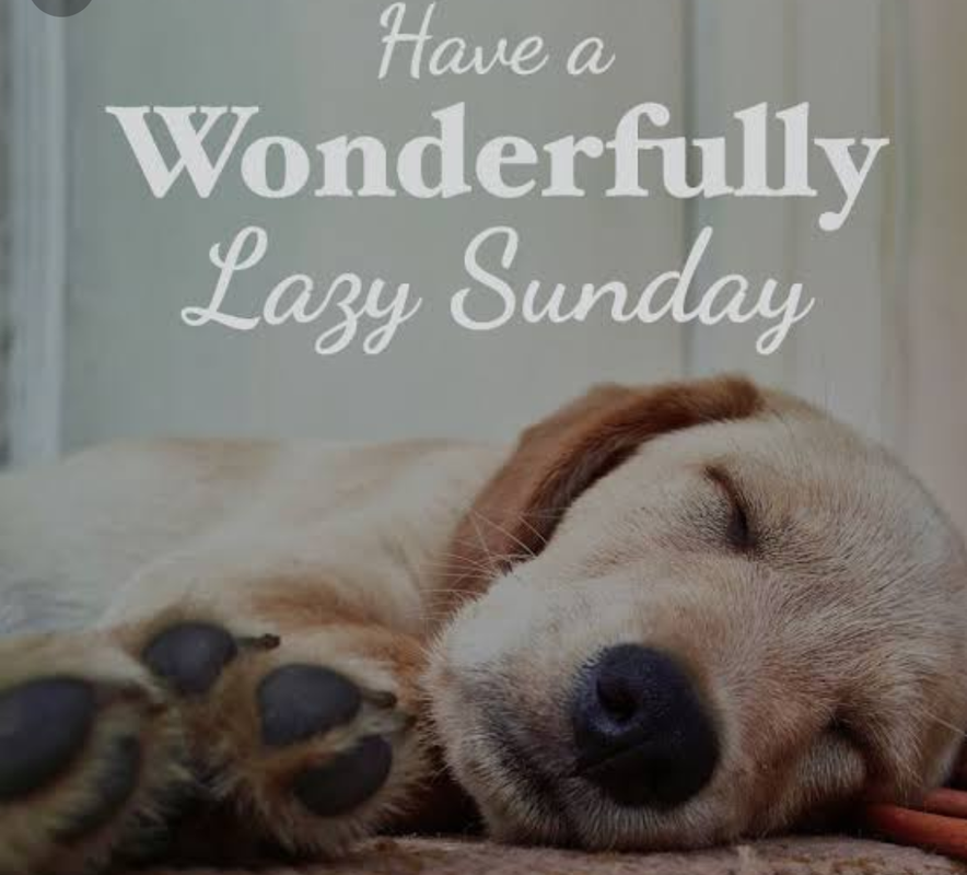 Have a relaxing Sunday to all