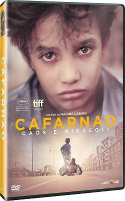 Cafarnao (2018) DVD5 COMPRESSO ITA Cafarnao (2018) DVD5 COMPRESSO ITA