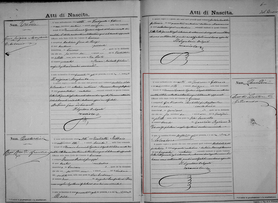 Santelli, Salvatore birth Cerisano, Cosenza, Italia Fm #7860988, Im 1876 of 2696, p6, 1888