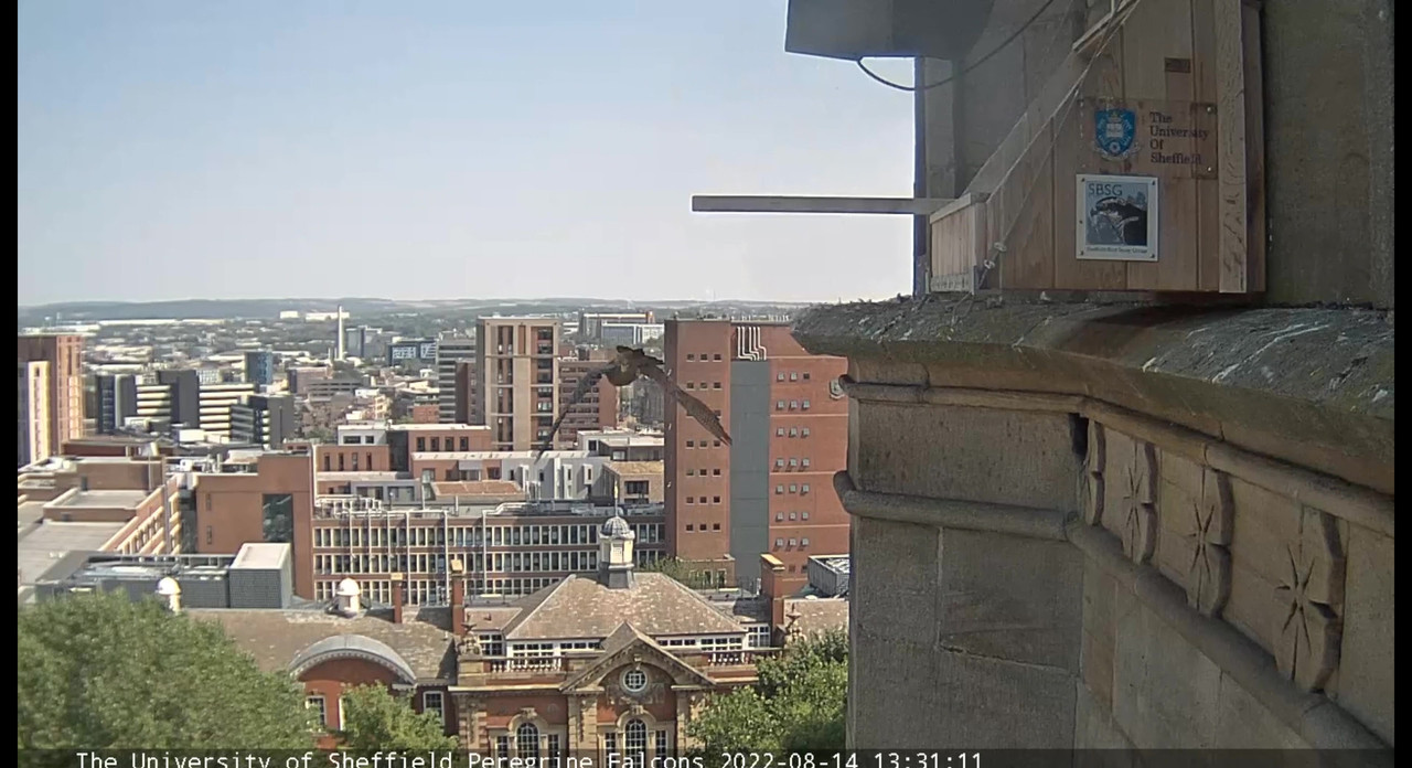 Sheffield/Yorkshire. - Pagina 4 Video-2022-08-14-143951-Moment-5