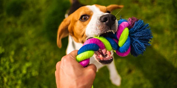 Tug-of-War