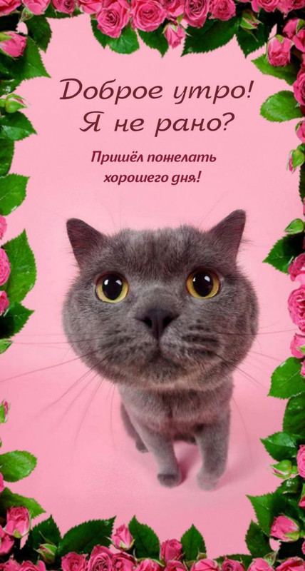 дай пожрать photo_2023-11-20_05-13-37