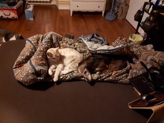 [Image: received-501262293915249.jpg]