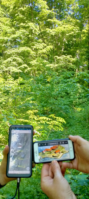 09.17 - IMG20210604100318 (VdL)