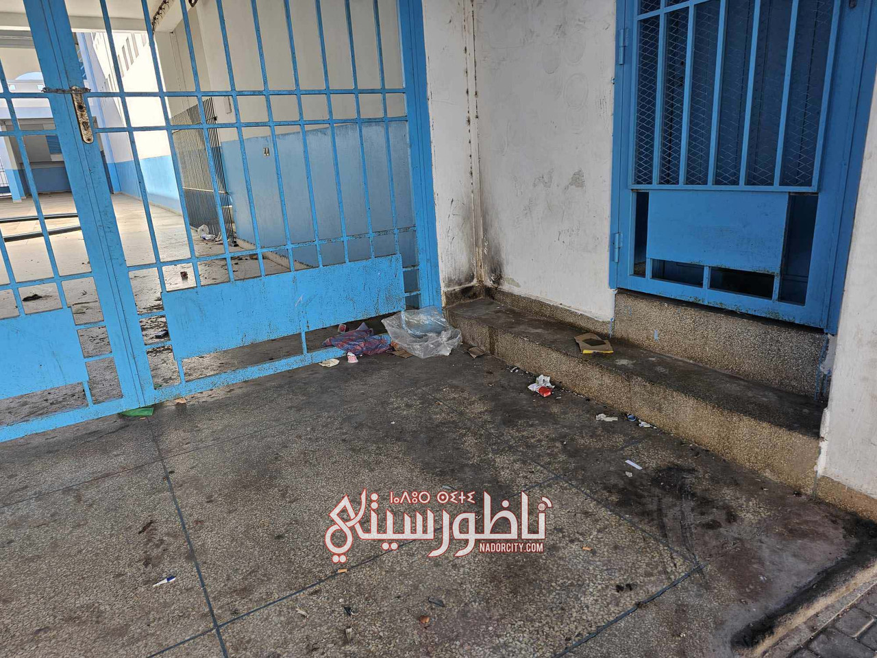 576682260-870132189013302-3488559644924879491-n