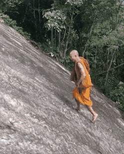 daily-gifdump-3378-25.gif