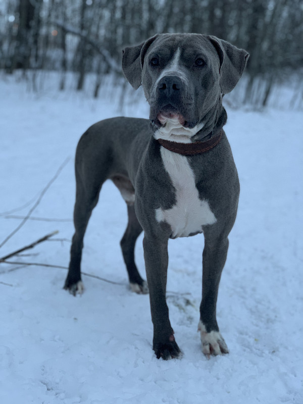 41BB59C2-31D9-40C7-A220-35E0942F3B0B