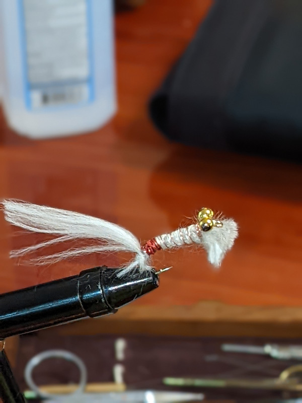 PXL_20220406_174008190.PORTRAIT