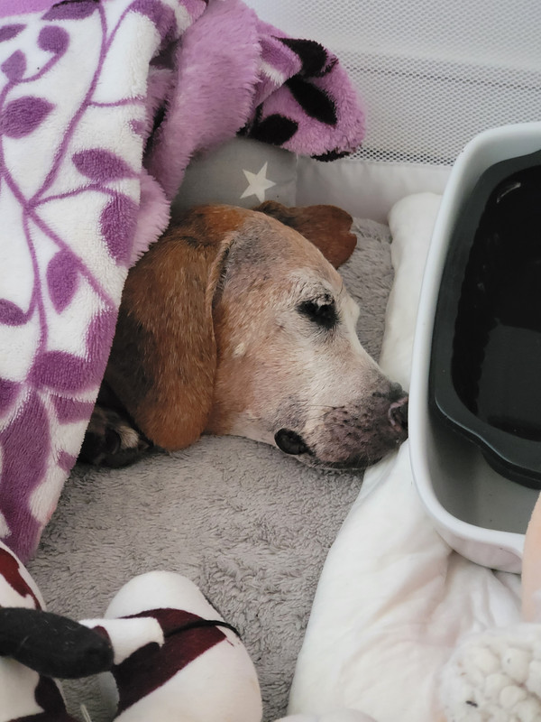 [Image: 20220224-095112.jpg]