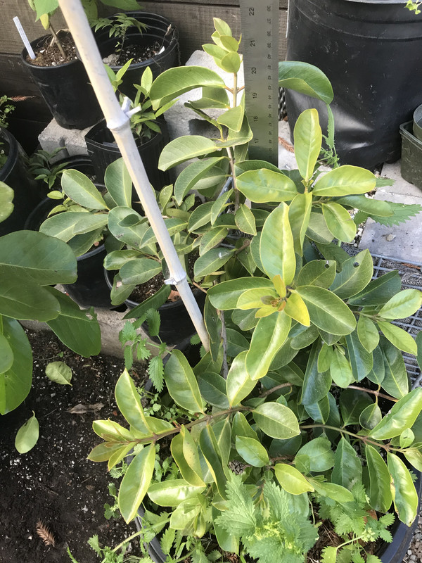 AF452961-8E26-46B4-9DC9-818856FCDD36