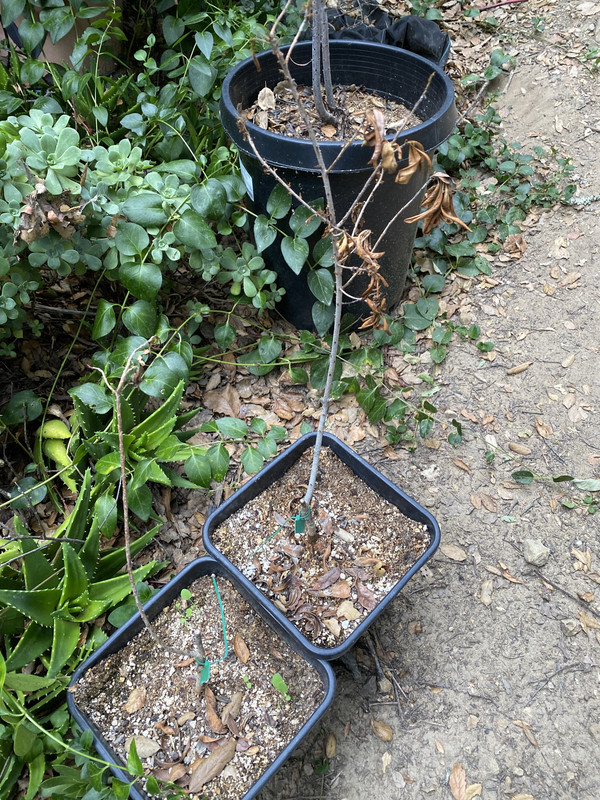 DA5C3E69-5951-460B-9A57-A7ACD9A58FD8