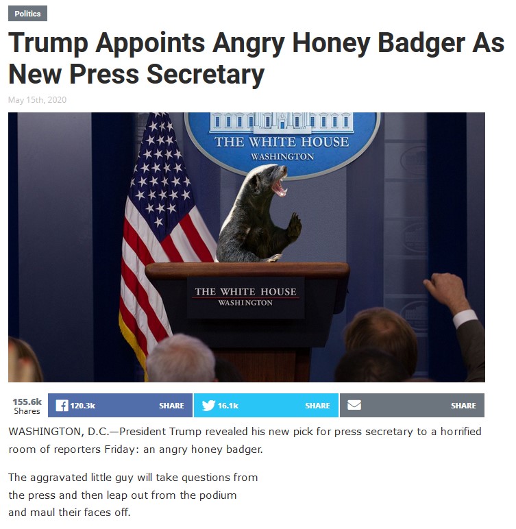 200518-h-badger.jpg
