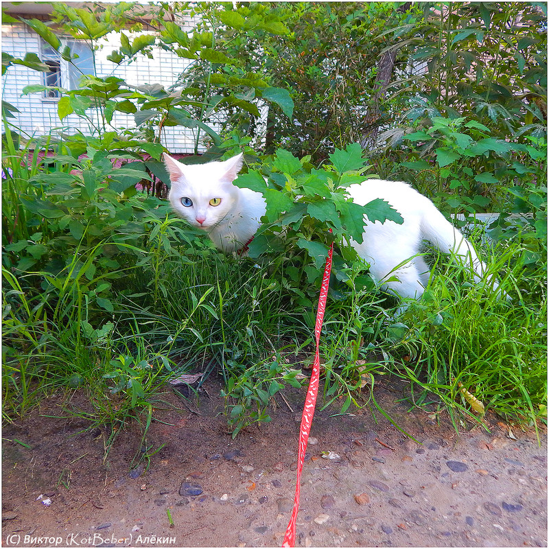 Изображение 012-2