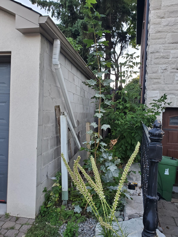 dilapidated