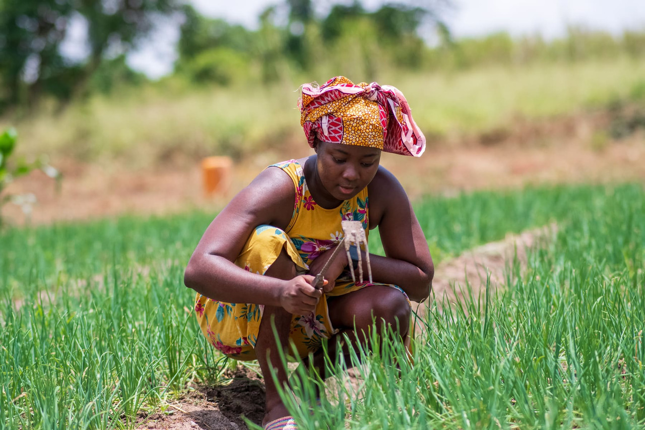 Upwell farmer holding fresh greens