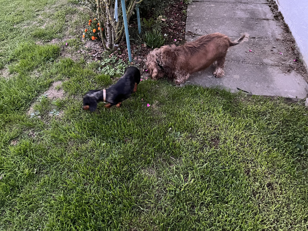 [Image: B99-FB6-B0-5907-4-C0-C-907-B-0865-D07-F117-B.jpg]