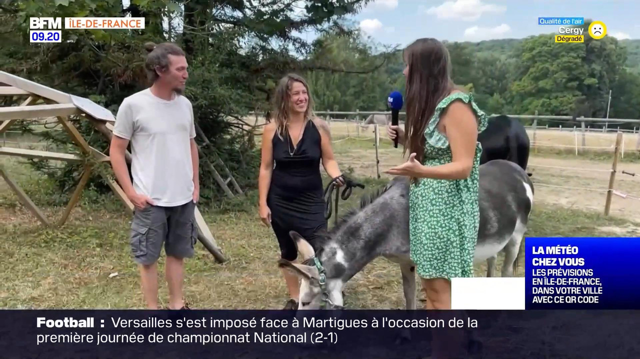 vlc-record-2022-08-13-16h22m53s-08.13 - 07.55.51-1.m4v-.mp4_snapshot_05.14_[2022.08.13_17.05.02]