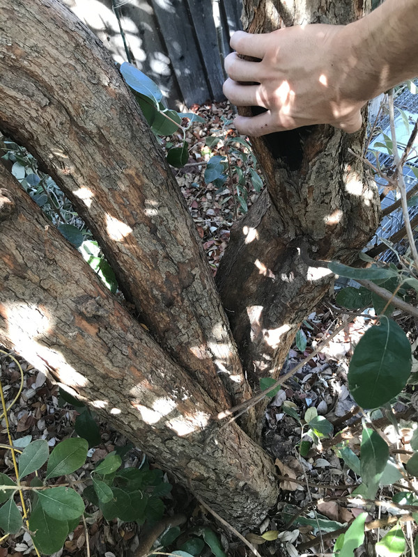 BF31F8AD-08B7-4DD7-9657-1CD22AE279F0