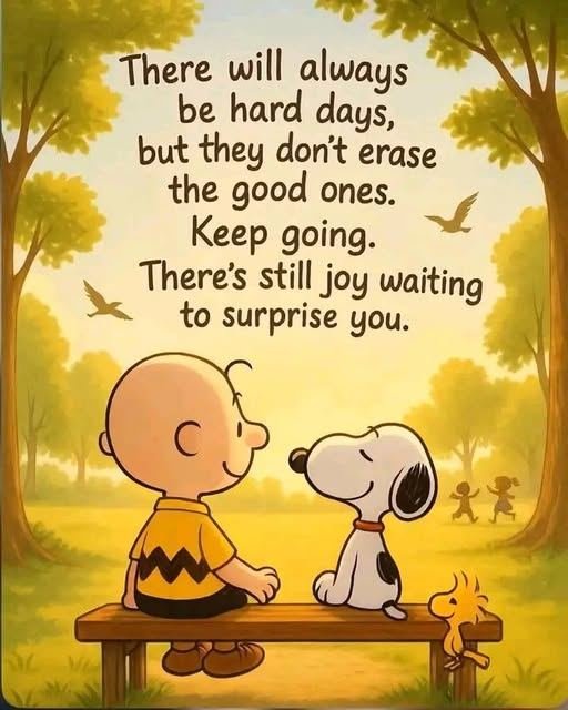 563609077_122137959152416581_3422876411738955978_n