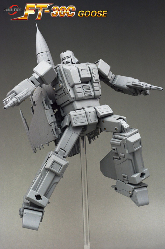 FT-30C-Goose-03