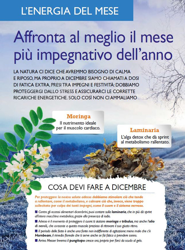 Sal Nat Dic 2021 (3)