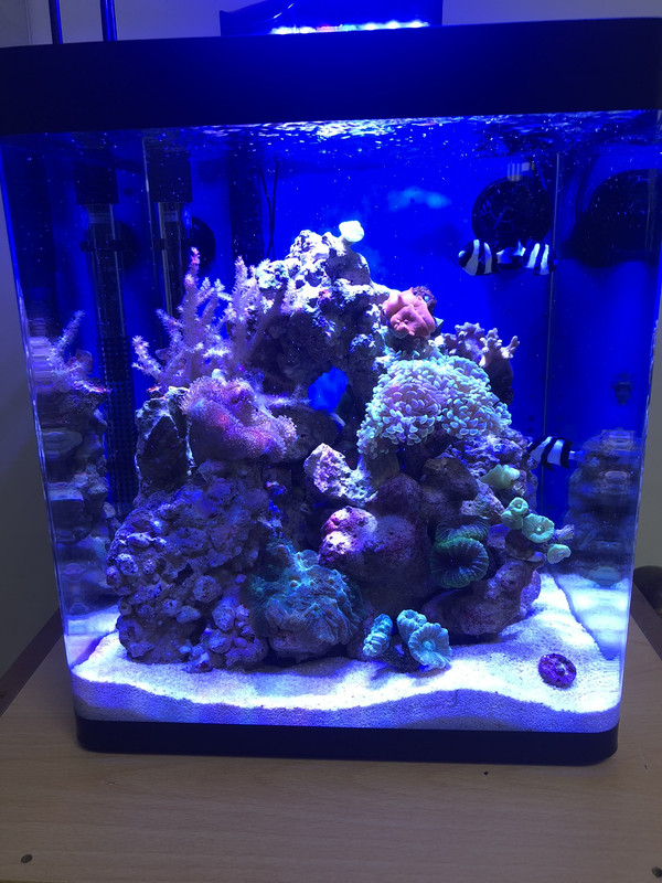 4E85D2BB-DCC1-43B9-A8B8-62443B6CB242