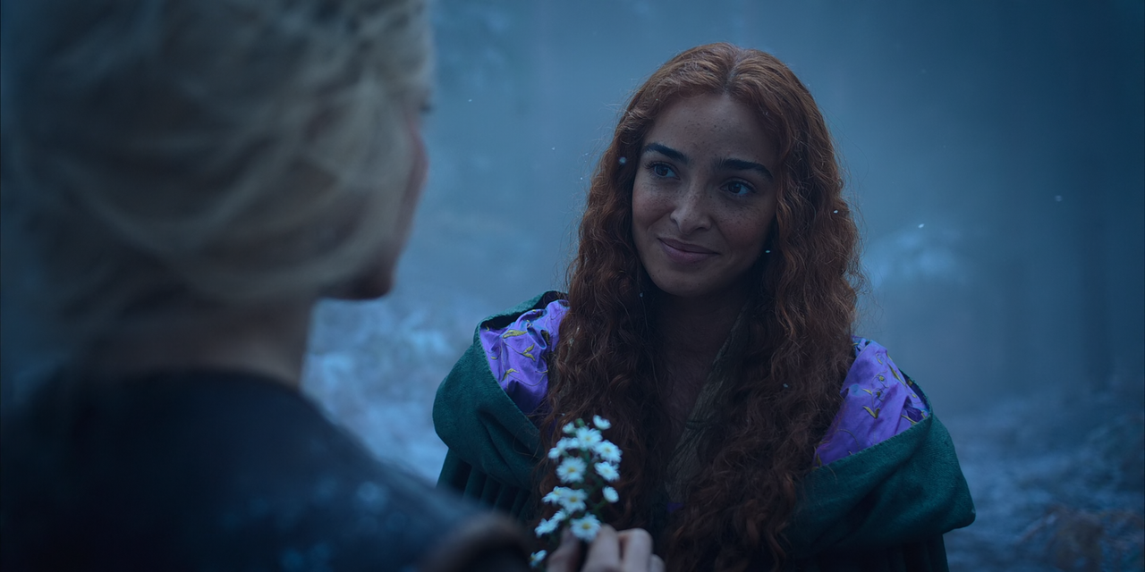 The.Witcher.S02E04.Redanian.Intelligence.1080p.10bit.NF.WEB-DL.DDP5.1.HEVC-Vyndros.mkv_snapshot_02.4