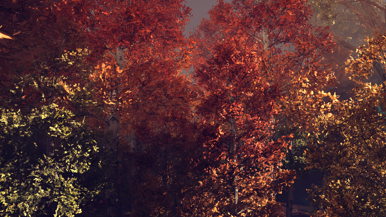 Dragon Age™_ The Veilguard_20250831145407