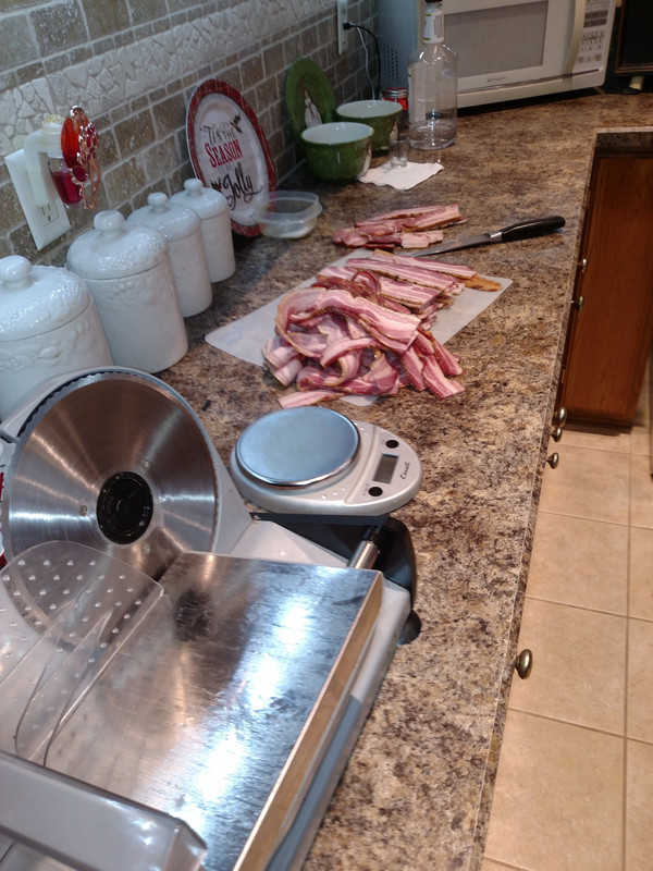 IMG_20221216_125647337