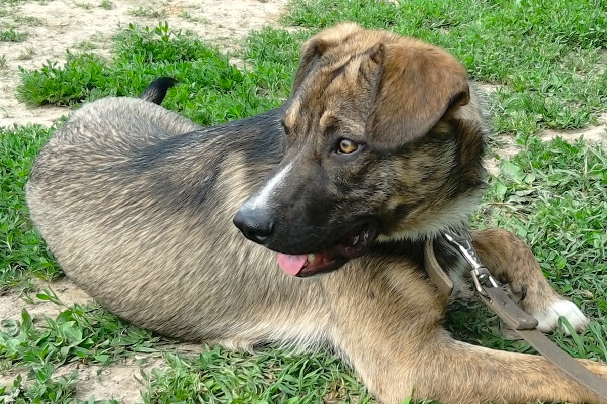 IMG_20190525_121041E