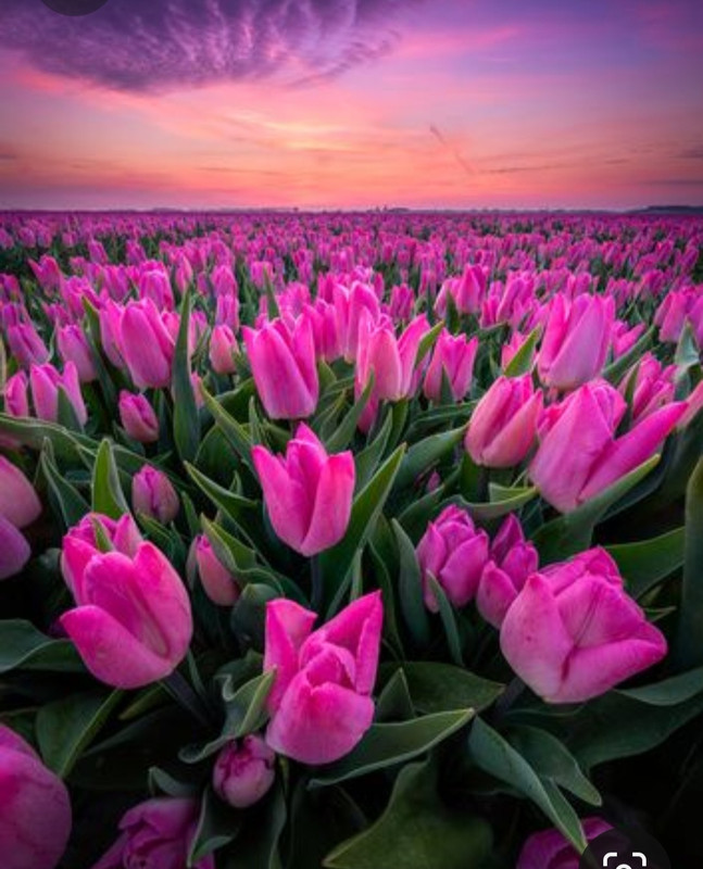 Screenshot_20230721_220854_Pinterest