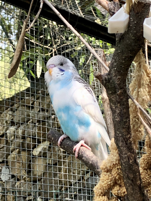 6935C4E3-2FDF-4D2F-8685-637801116B9D