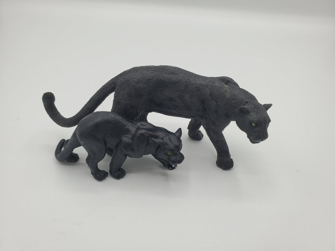 Pocket Explorers Panther Figure Walkaround 20220130-145643