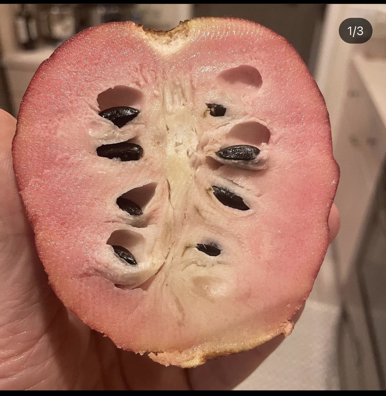 32FAFE12-B9A7-4817-AB6D-4B2BE77D92F9