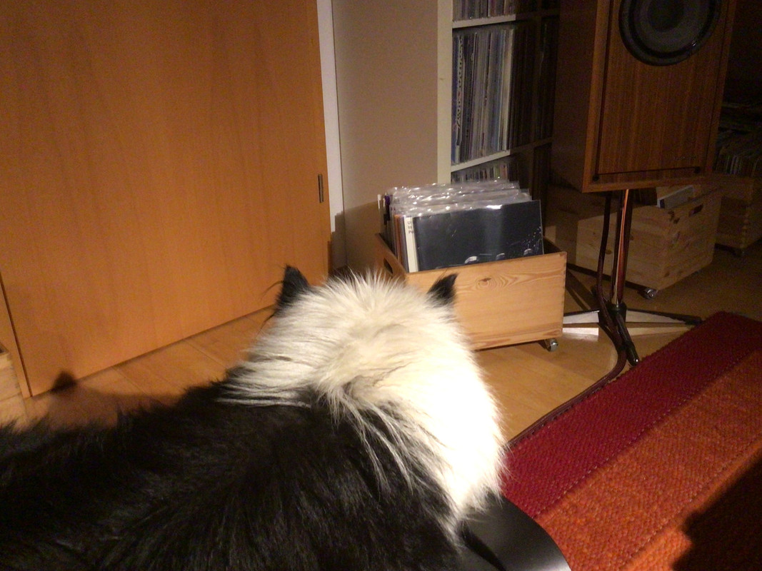 DAE13BB5-2B05-491A-B96F-CEC7561CF4E9