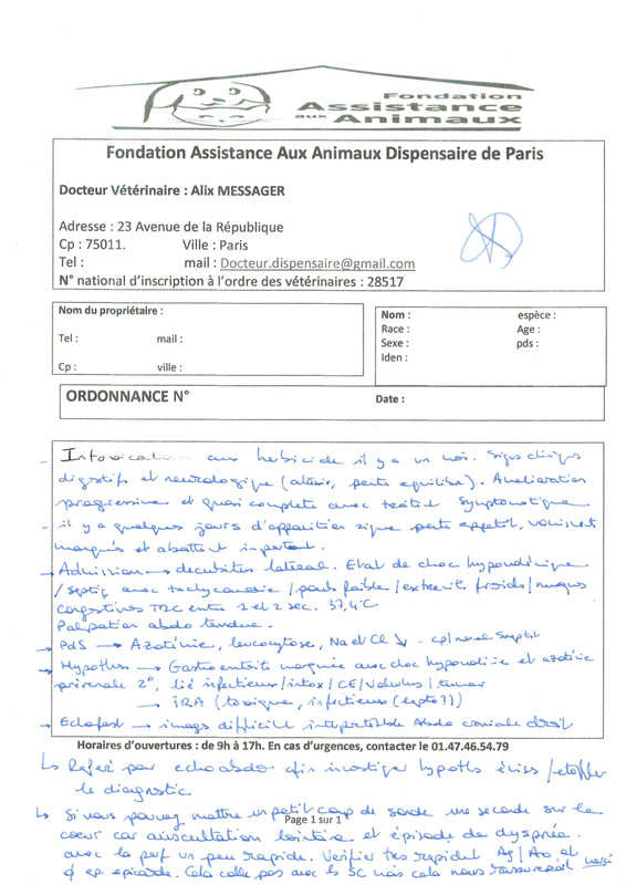 Compte-rendu FAA Simba 13-12-2024-page1