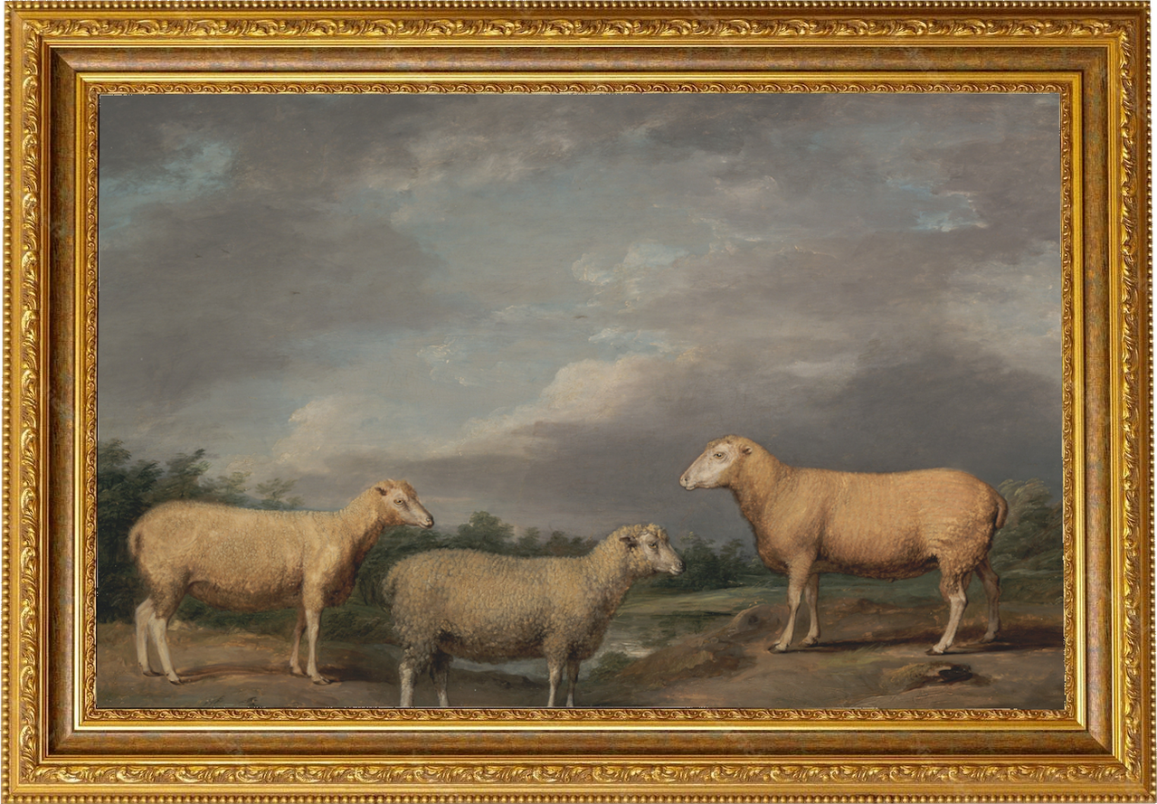 A painting by James Ward in a golden frame. The painting is called Ryelands Sheep: the King's Ram, the King's Ewe and Lord Somerville's Wether. It features three sheep standing in front of a landscape